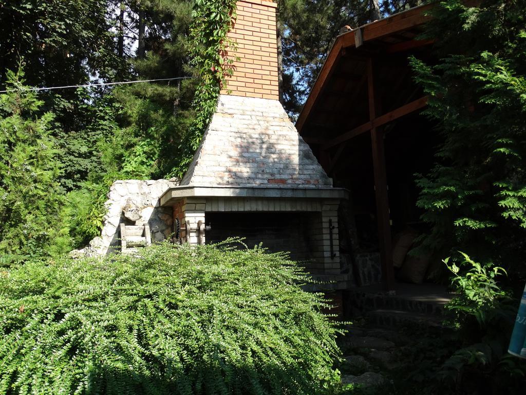 Hotel Grivitsa Pleven Rum bild