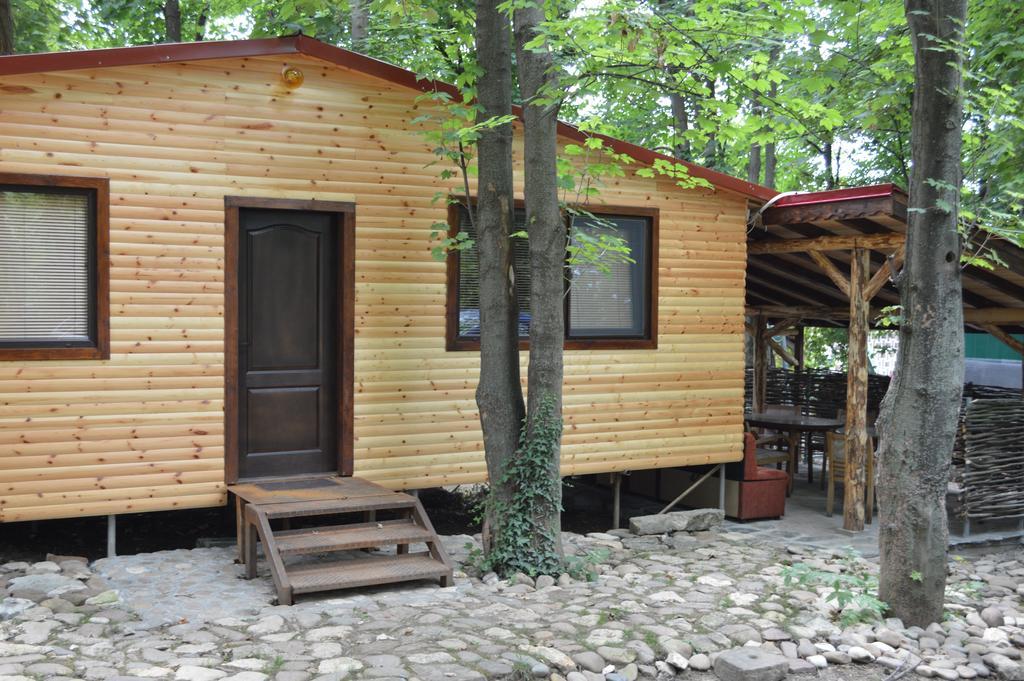Hotel Grivitsa Pleven Rum bild
