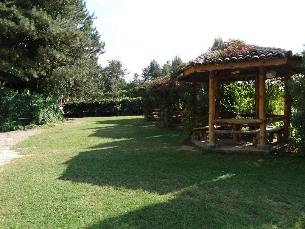 Hotel Grivitsa Pleven Rum bild