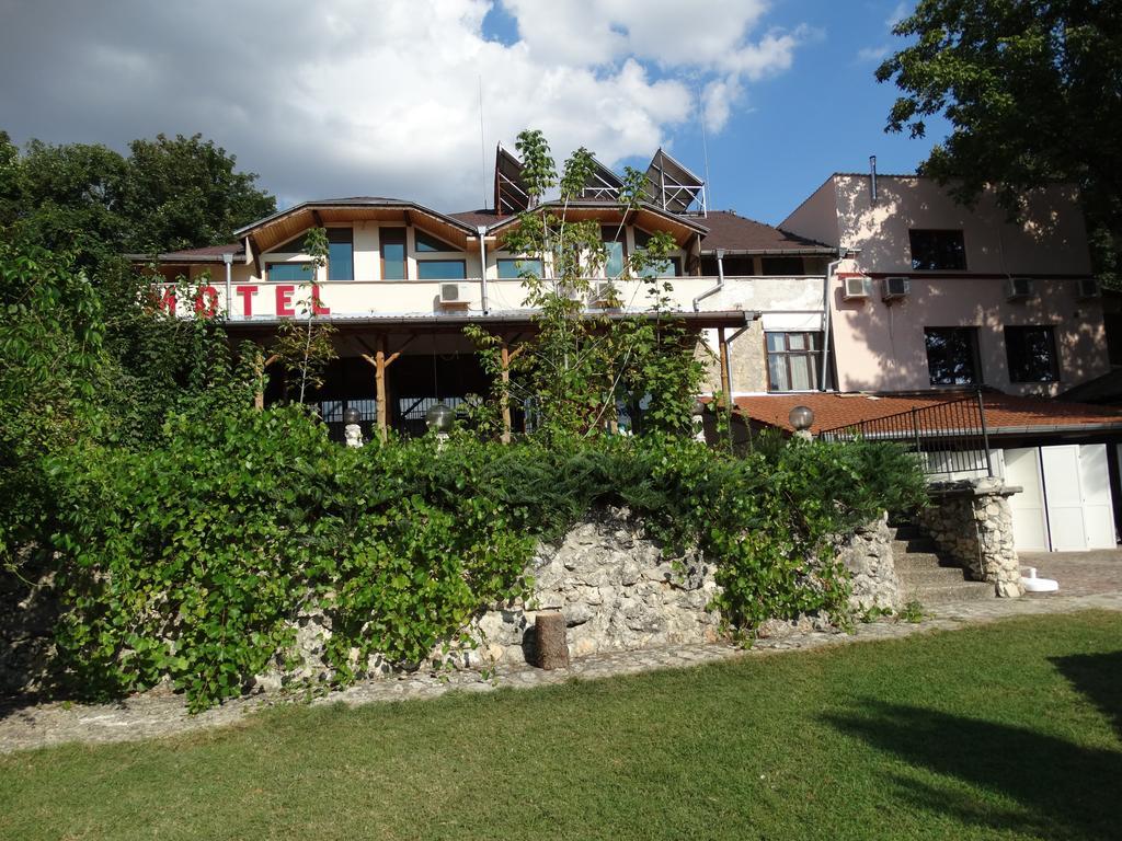 Hotel Grivitsa Pleven Rum bild