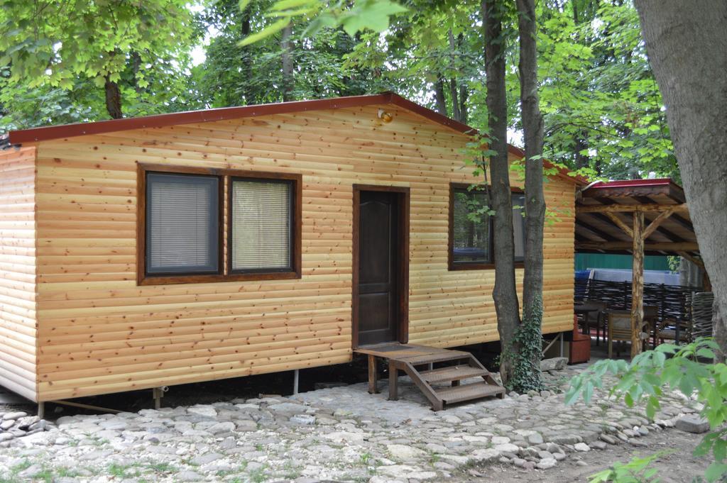 Hotel Grivitsa Pleven Rum bild