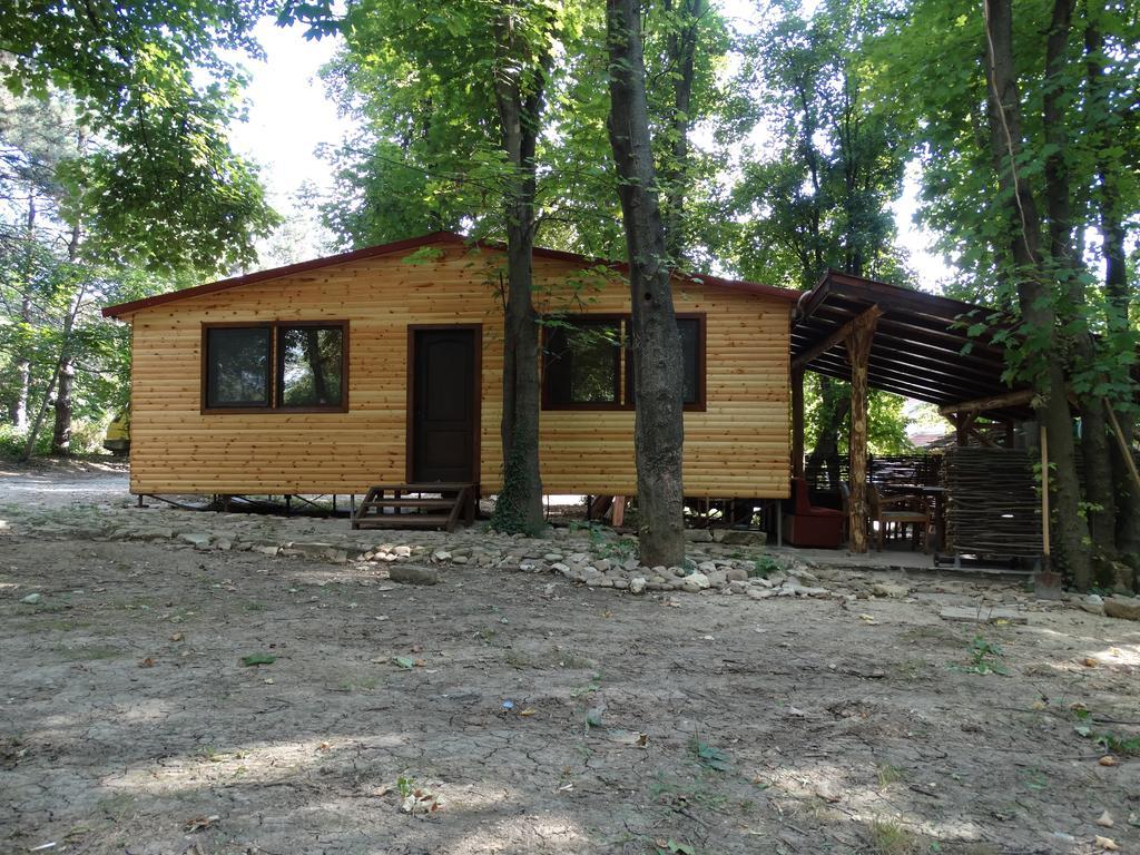 Hotel Grivitsa Pleven Rum bild